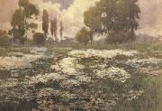 unknow artist Field of Daisies oil painting reproduction